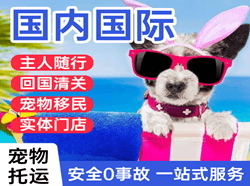 浪头空运地址国际宠物托运 【国